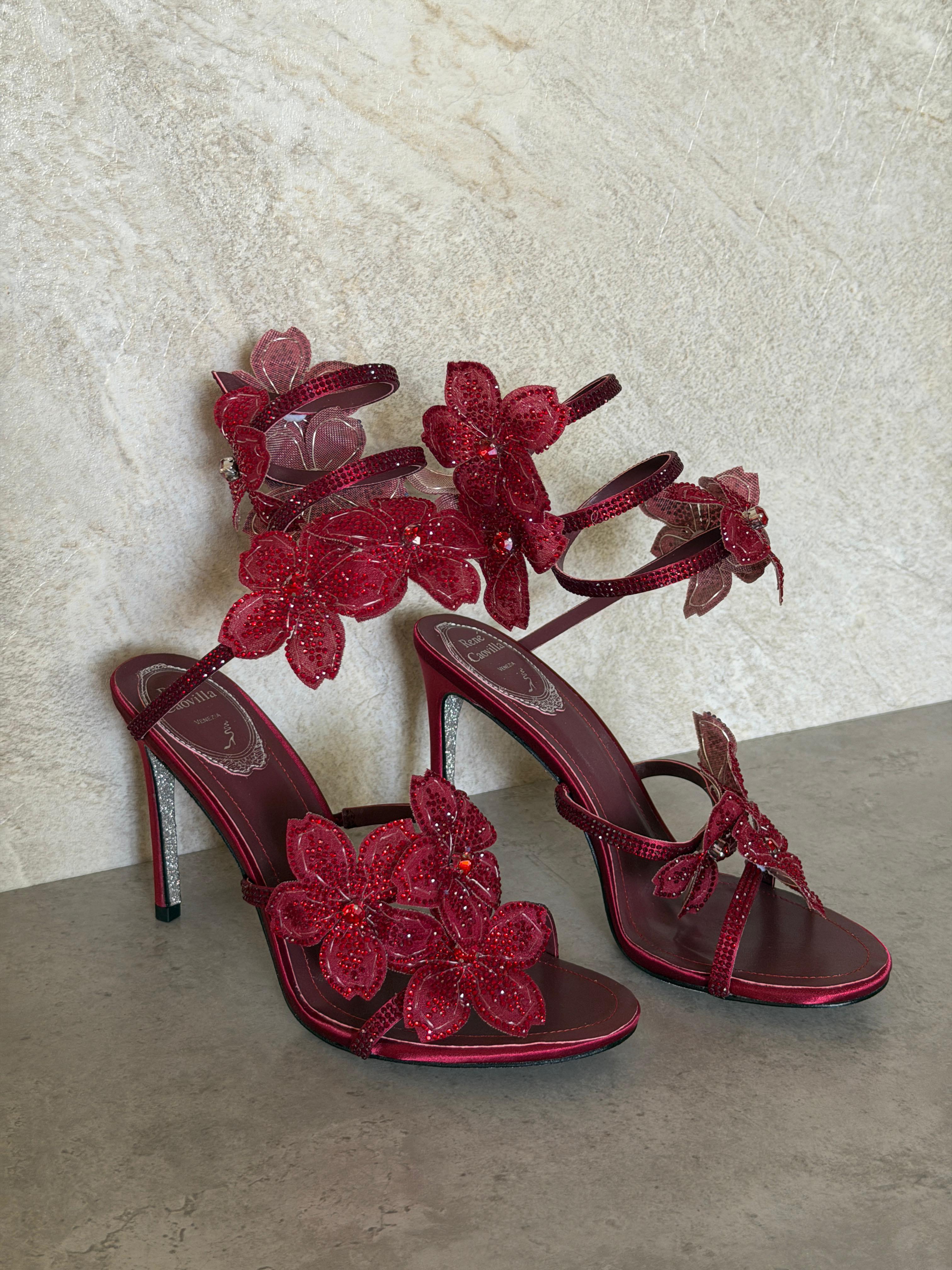 René caovilla shoes