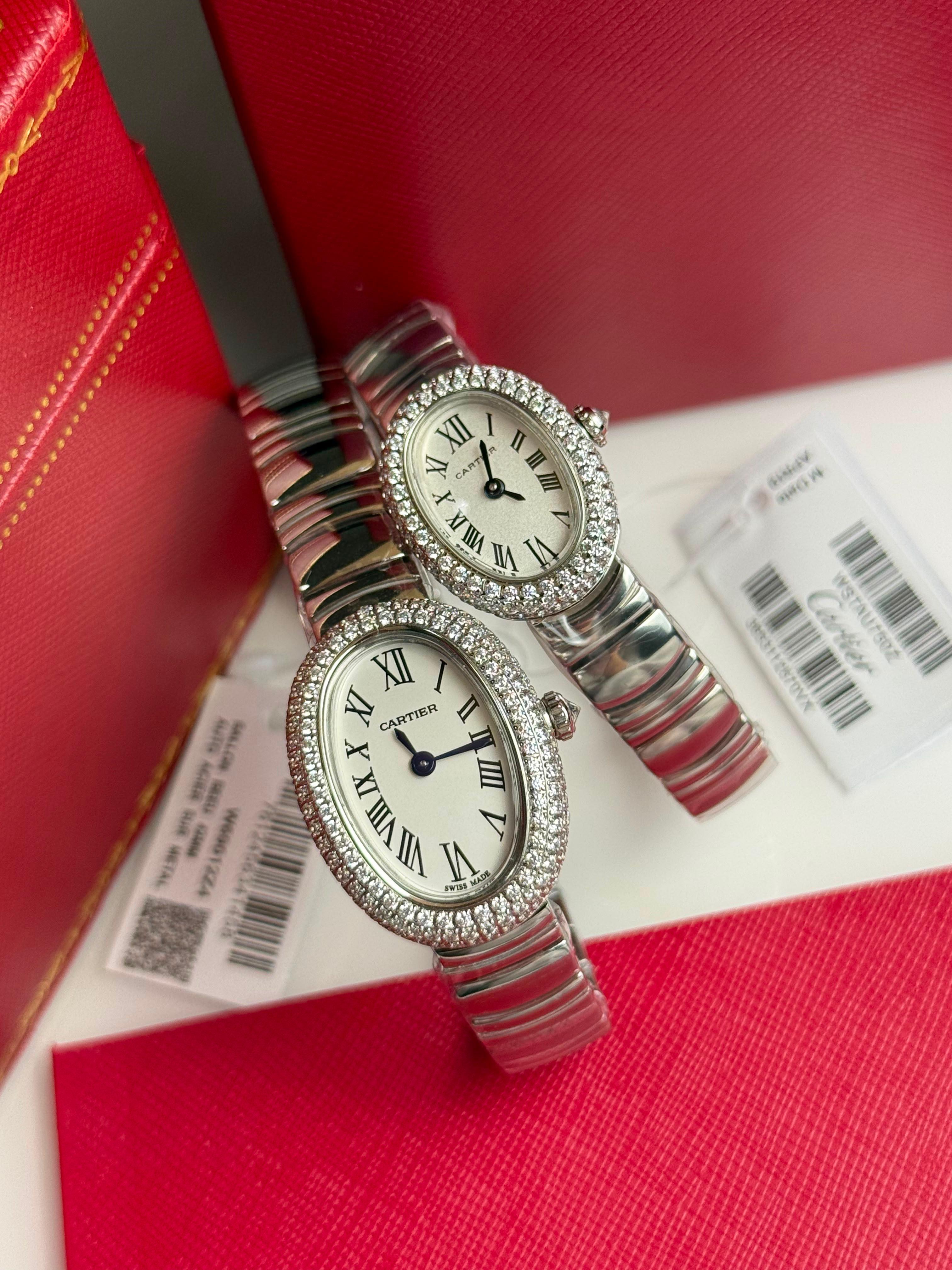 Cartier watch