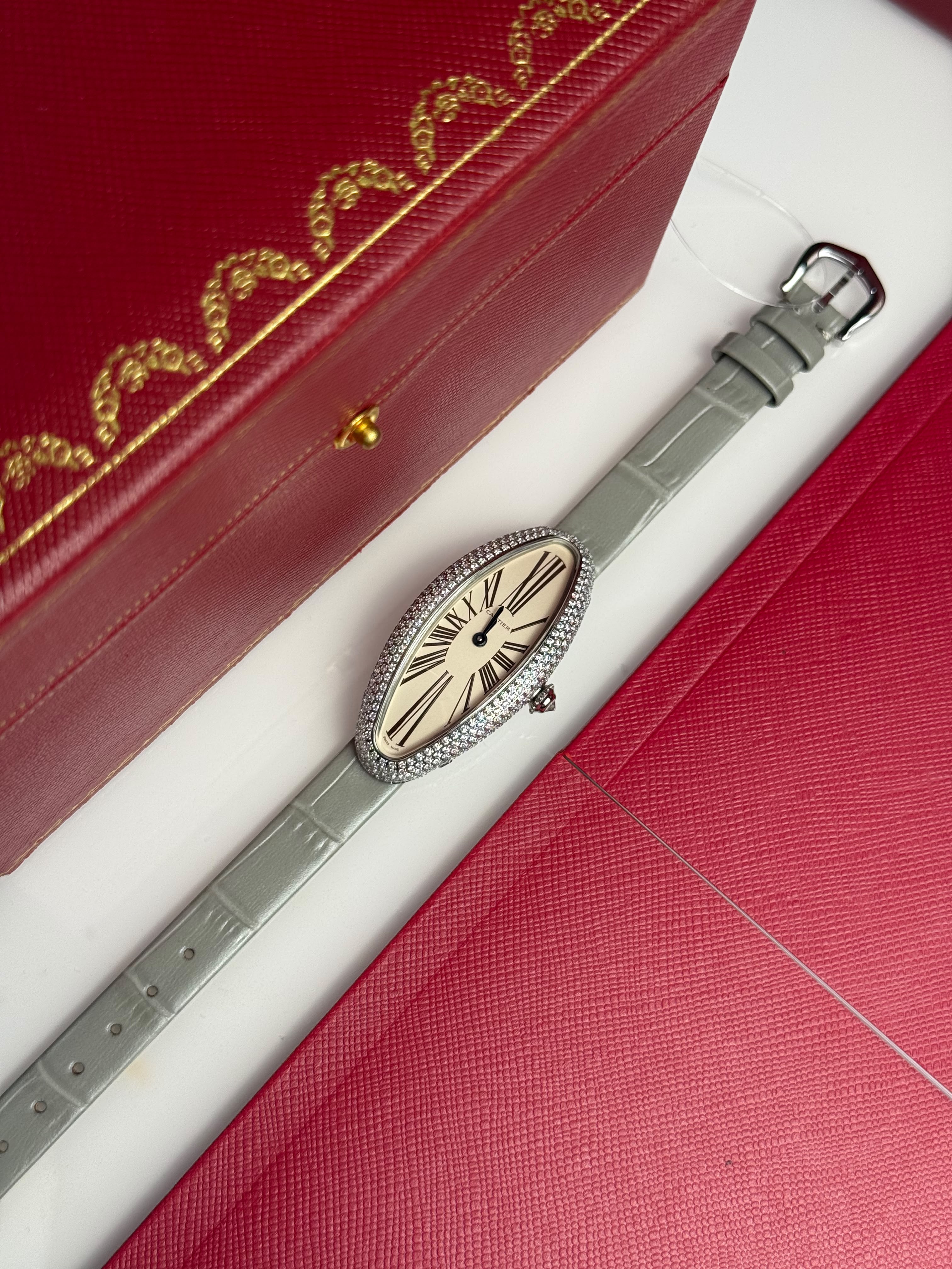 Cartier watch